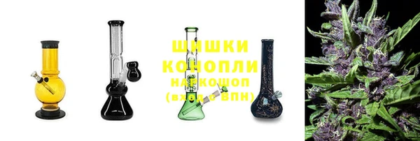 гидропоника Балабаново
