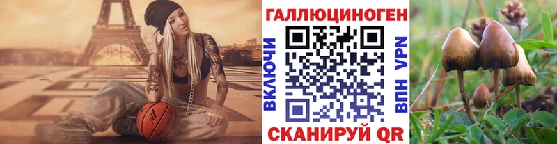 Купить закладки  Арсеньев  Галлюциногенные грибы Psilocybine cubensis 